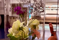 6a439f1fada43.webp